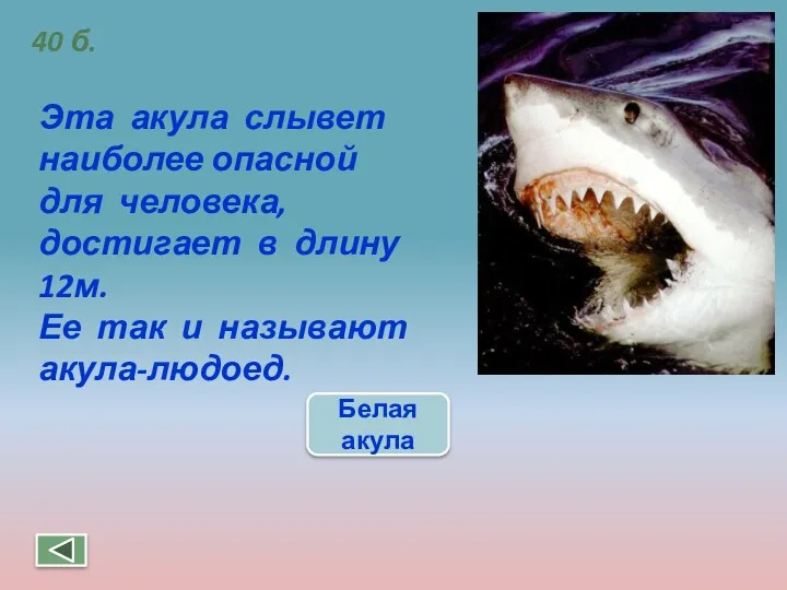40 б. Эта акула слывет наиболее опасной для человека, достигает в длину 12м.