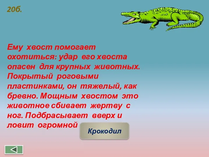 20б. Ему хвост помогает охотиться: удар его хвоста опасен для крупных животных. Покрытый