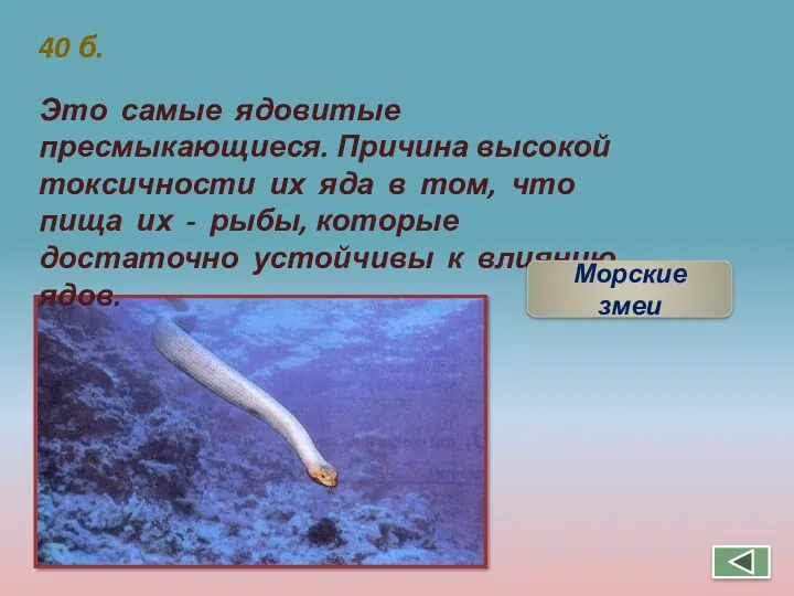 40 б. Это самые ядовитые пресмыкающиеся. Причина высокой токсичности их