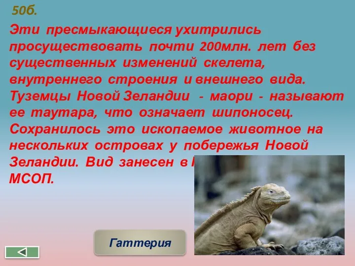 50б. Эти пресмыкающиеся ухитрились просуществовать почти 200млн. лет без существенных