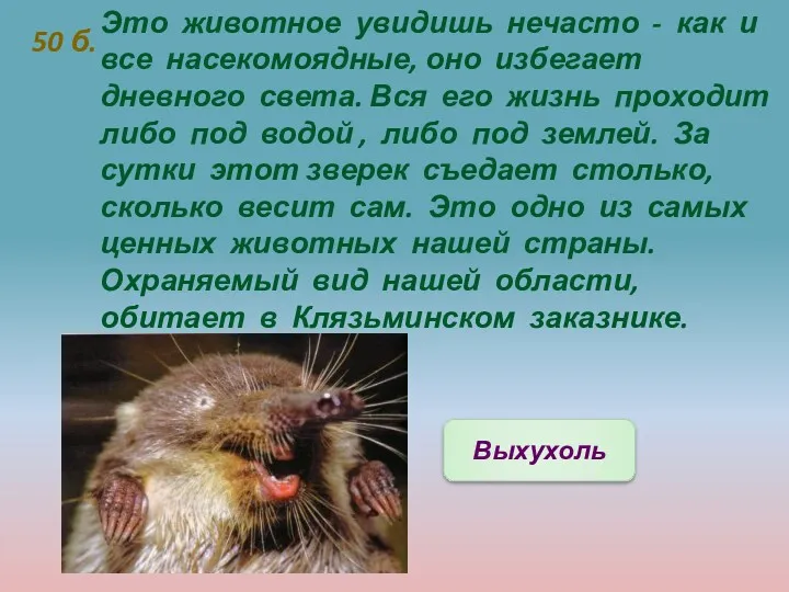 50 б. Это животное увидишь нечасто - как и все насекомоядные, оно избегает