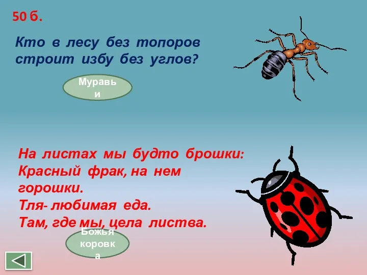 50 б. Кто в лесу без топоров строит избу без углов? Муравьи На