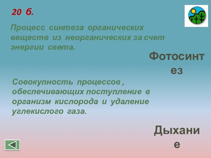 20 б. Процесс синтеза органических веществ из неорганических за счет