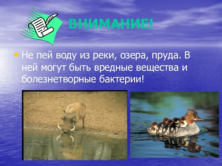 ВНИМАНИЕ! Не пей воду из реки, озера, пруда. В ней