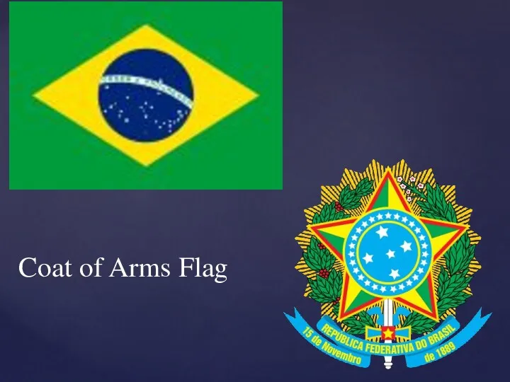 Coat of Arms Flag