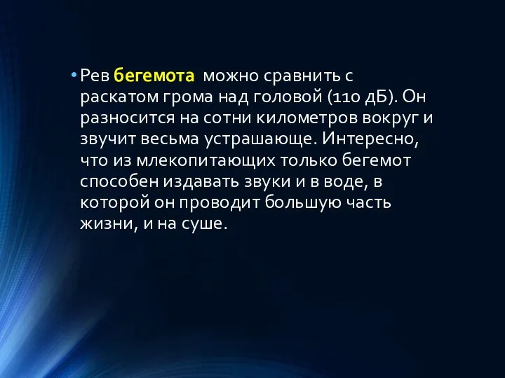 Рев бегемота можно сравнить с раскатом грома над головой (110 дБ). Он разносится