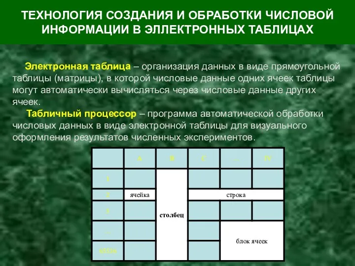 ТЕХНОЛОГИЯ СОЗДАНИЯ И ОБРАБОТКИ ЧИСЛОВОЙ ИНФОРМАЦИИ В ЭЛЛЕКТРОННЫХ ТАБЛИЦАХ Электронная