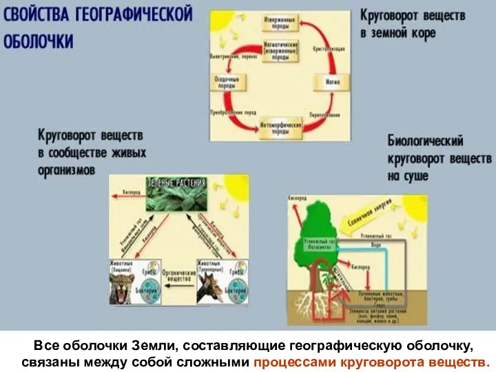 Все оболочки Земли, составляющие географическую оболочку, связаны между собой сложными процессами круговорота веществ.