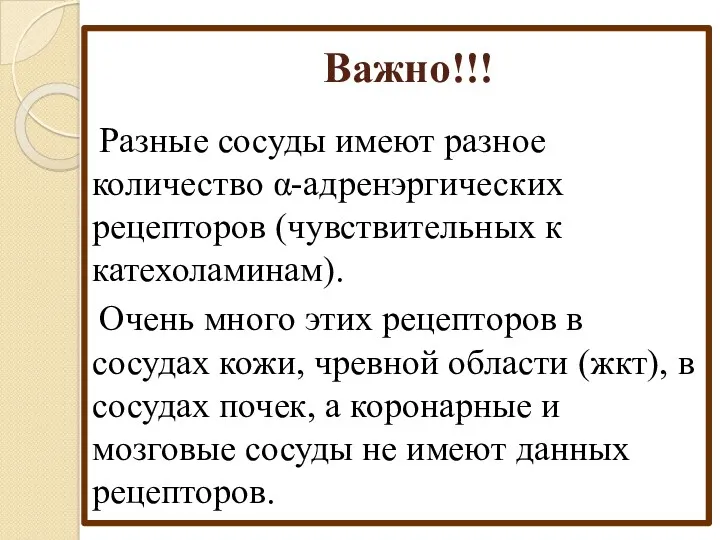 Важно!!! Разные сосуды имеют разное количество α-адренэргических рецепторов (чувствительных к