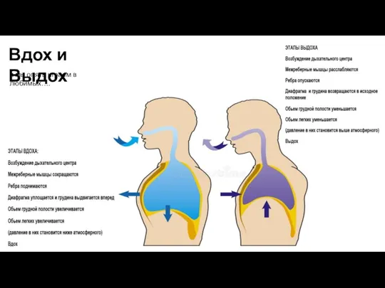 Вдох и Выдох и мы опять играем в любимых….