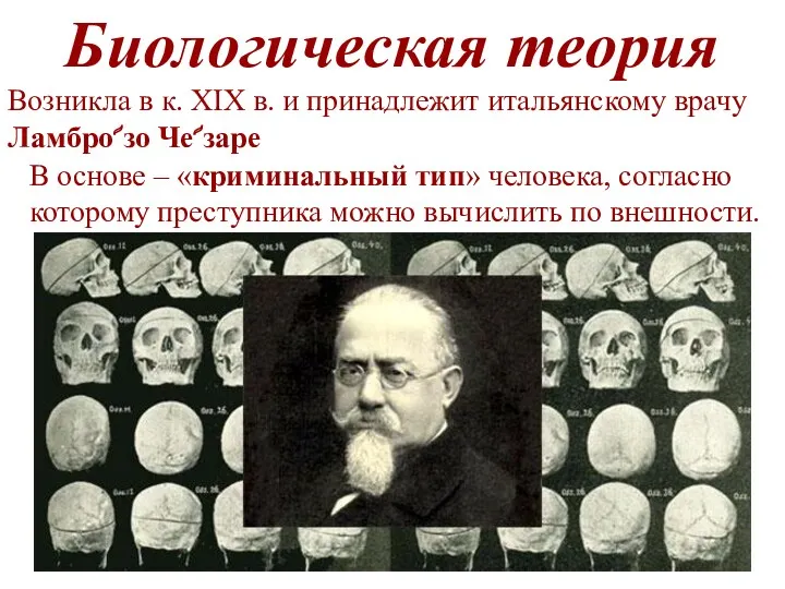 Биологическая теория Возникла в к. XIX в. и принадлежит итальянскому