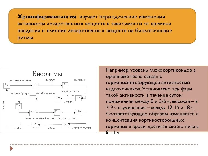 Хронофармакология изучает периодические изменения активности лекарственных веществ в зависимости от времени введения и