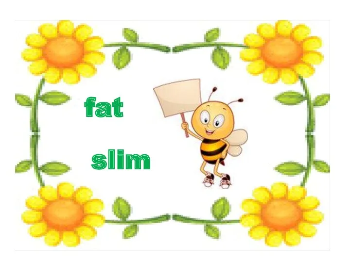 fat slim