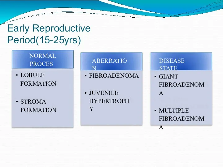 Early Reproductive Period(15-25yrs) NORMAL PROCESS LOBULE FORMATION STROMA FORMATION ABERRATION