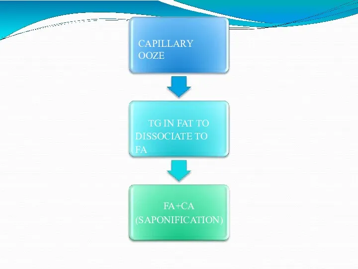 CAPILLARY OOZE TG IN FAT TO DISSOCIATE TO FA FA+CA (SAPONIFICATION)