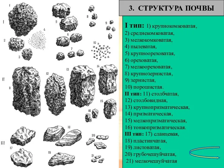 3. СТРУКТУРА ПОЧВЫ I тип: 1) крупнокомковатая, 2) среднекомковатая, 3)