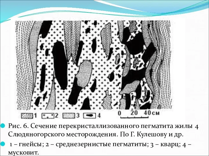 Рис. 6. Сечение перекристаллизованного пегматита жилы 4 Слюдяногорского месторождения. По