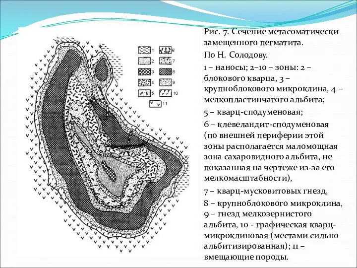 Рис. 7. Сечение метасоматически замещенного пегматита. По Н. Солодову. 1