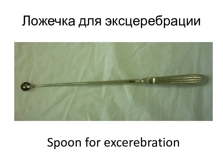 Ложечка для эксцеребрации Spoon for excerebration