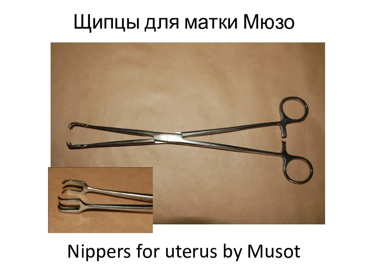 Щипцы для матки Мюзо Nippers for uterus by Musot