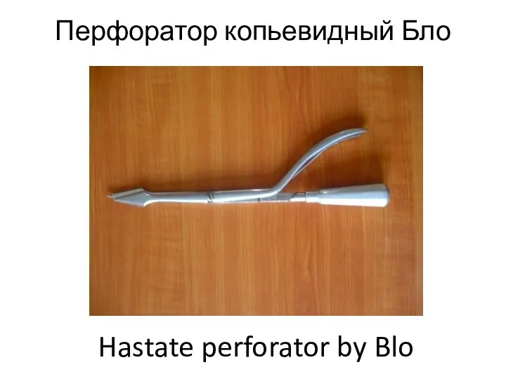 Перфоратор копьевидный Бло Hastate perforator by Blo