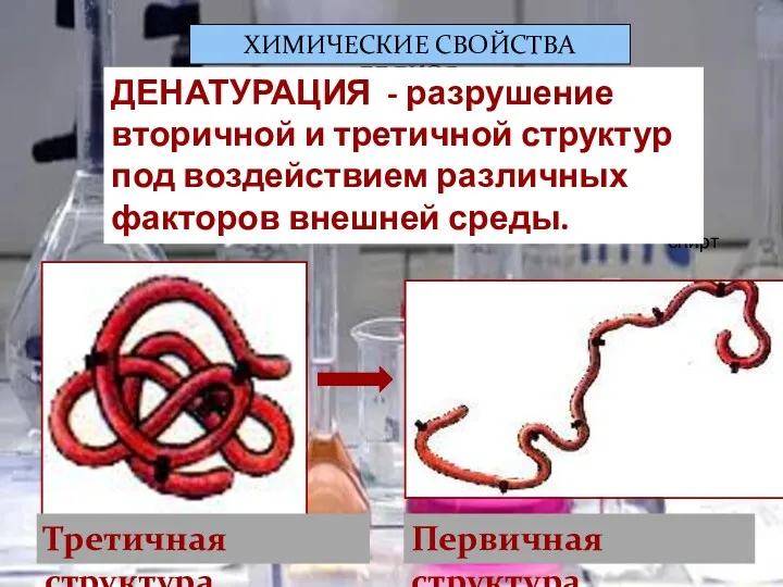 ХИМИЧЕСКИЕ СВОЙСТВА БЕЛКОВ спирт Третичная структура Первичная структура ДЕНАТУРАЦИЯ -