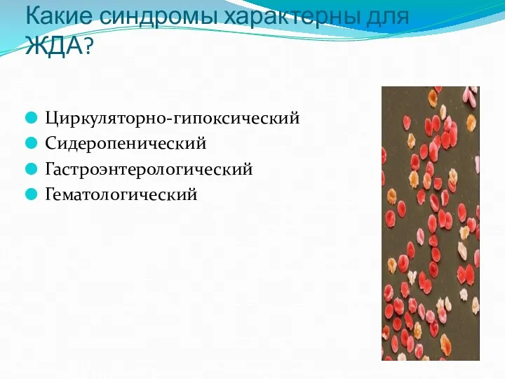 Какие синдромы характерны для ЖДА? Циркуляторно-гипоксический Сидеропенический Гастроэнтерологический Гематологический