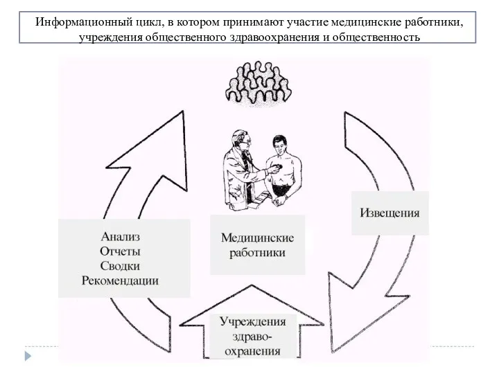 Информационный цикл, в котором принимают участие медицинские работники, учреждения общественного здравоохранения и общественность