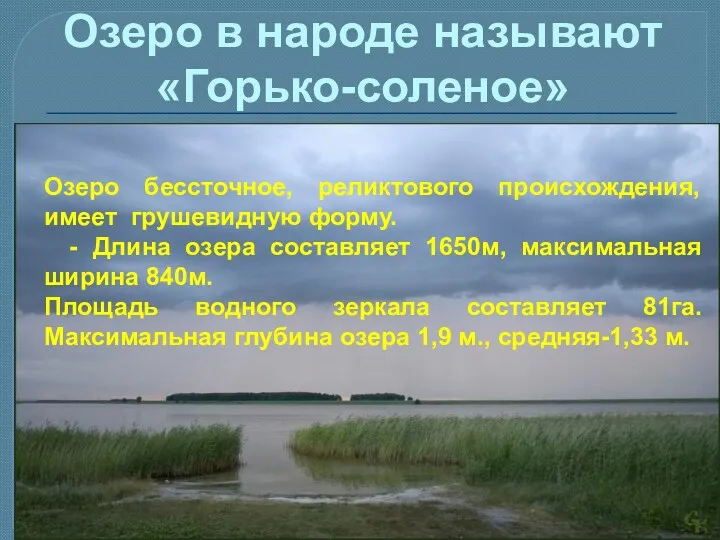 Озеро в народе называют «Горько-соленое» Озеро бессточное, реликтового происхождения, имеет