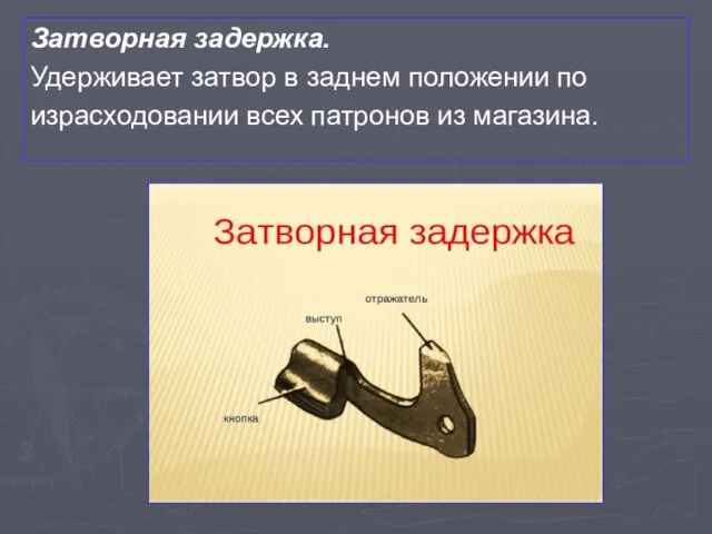 Затворная задержка. Удерживает затвор в заднем положении по израсходовании всех патронов из магазина.