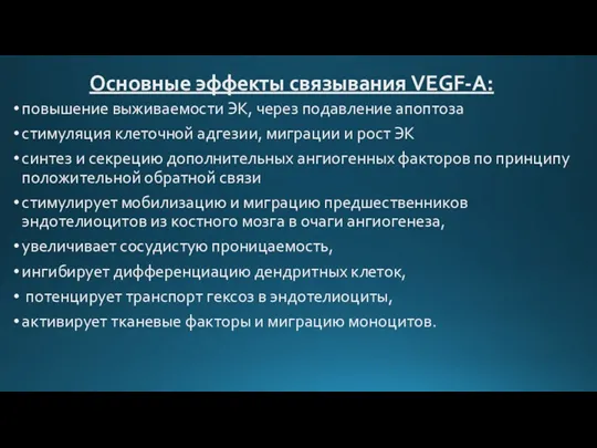 Основные эффекты связывания VEGF-A: повышение выживаемости ЭК, через подавление апоптоза