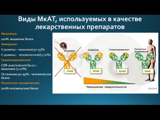 Виды МкАТ, используемых в качестве лекарственных препаратов Мышиные: 100% мышиные