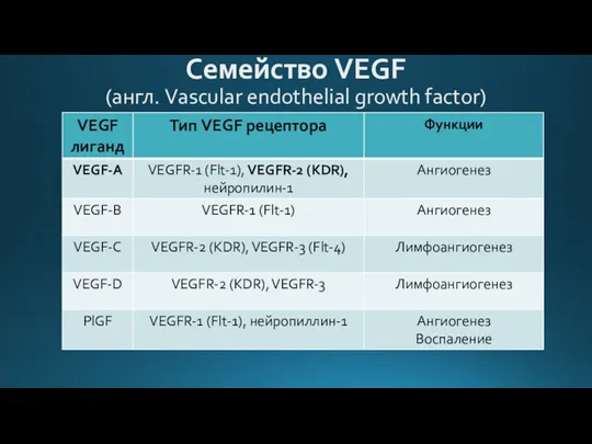 Семейство VEGF (англ. Vascular endothelial growth factor)