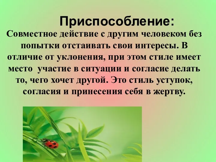 Приспособление: Совместное действие с другим человеком без попытки отстаивать свои