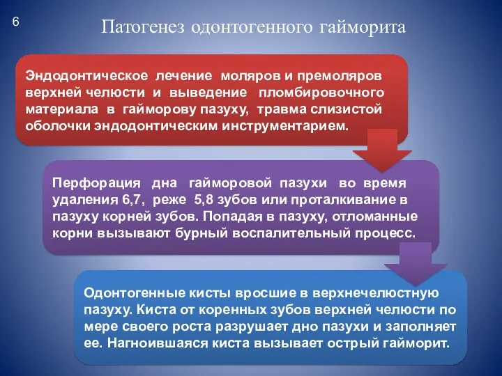 Патогенез одонтогенного гайморита Эндодонтическое лечение моляров и премоляров верхней челюсти