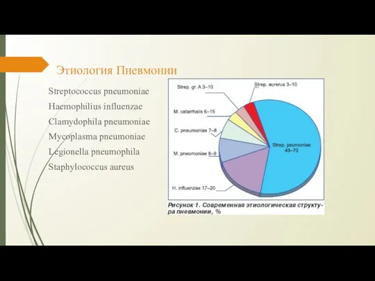 Этиология Пневмонии Streptococcus pneumoniae Haemophilius influenzae Clamydophila pneumoniae Mycoplasma pneumoniae Legionella pneumophila Staphylococcus aureus