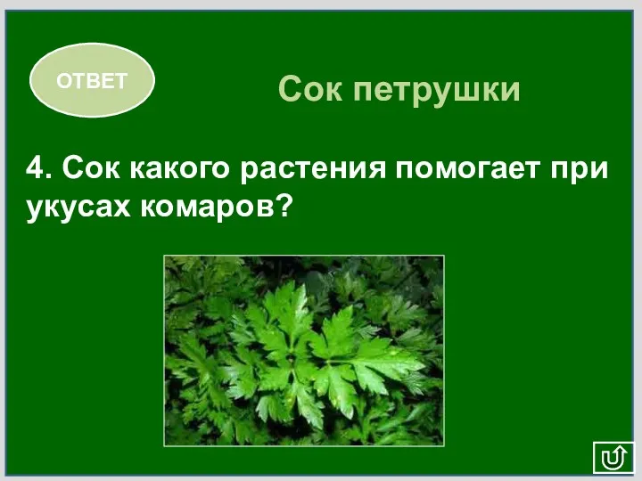 4. Сок какого растения помогает при укусах комаров? ОТВЕТ Сок петрушки