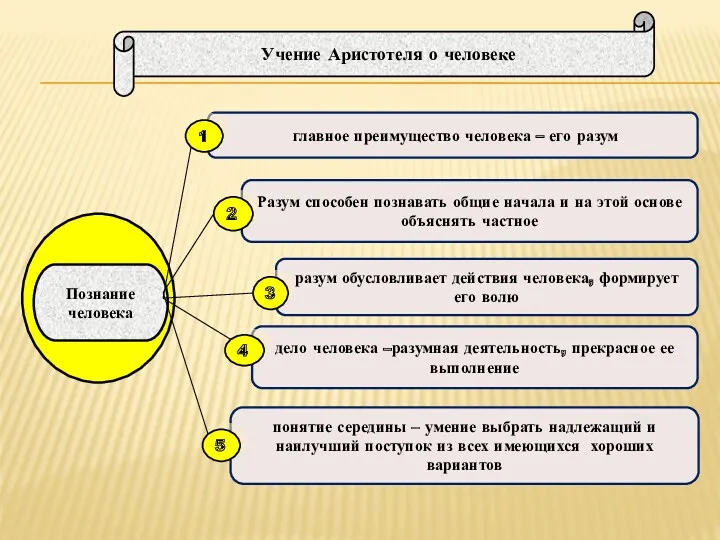 Учение Аристотеля о человеке главное преимущество человека – его разум