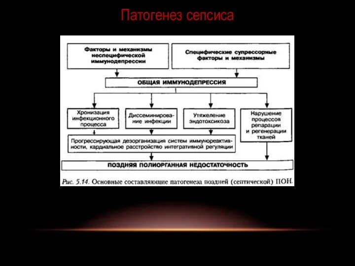 Патогенез сепсиса