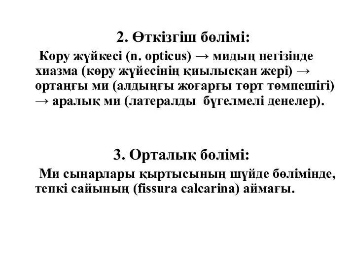 2. Өткізгіш бөлімі: Көру жүйкесі (n. opticus) → мидың негізінде