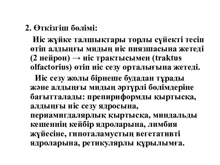 2. Өткізгіш бөлімі: Иіс жүйке талшықтары торлы сүйекті тесіп өтіп