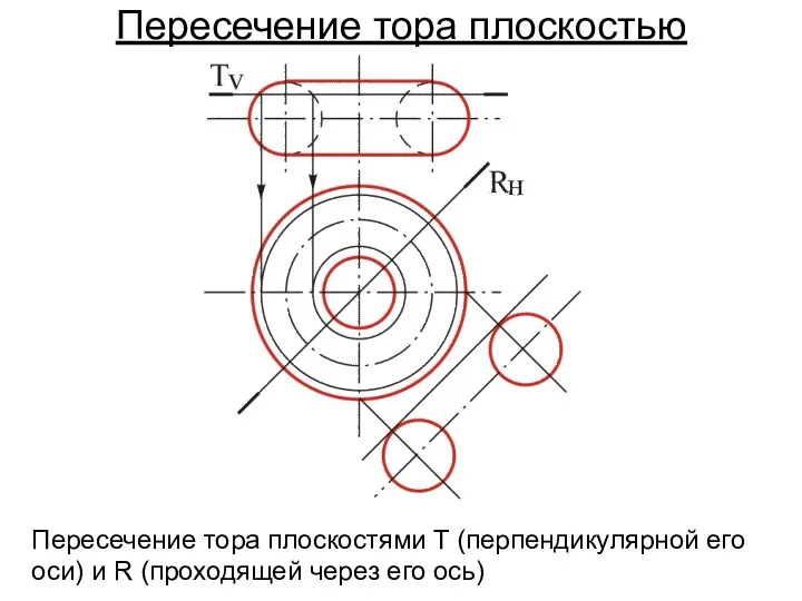 Пересечение тора плоскостью Пересечение тора плоскостями T (перпендикулярной его оси) и R (проходящей через его ось)