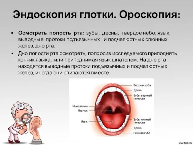 Эндоскопия глотки. Ороскопия: Осмотреть полость рта: зубы, десны, твердое нёбо,