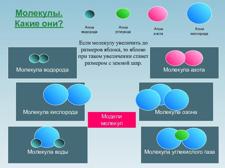 Молекулы. Какие они? Атом водорода Атом азота Атом кислорода Молекула