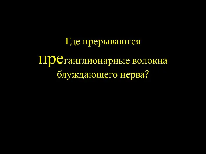 Где прерываются преганглионарные волокна блуждающего нерва?