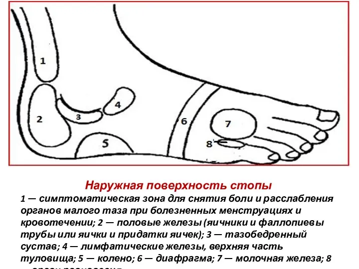 Наружная поверхность стопы 1 — симптоматическая зона для снятия боли