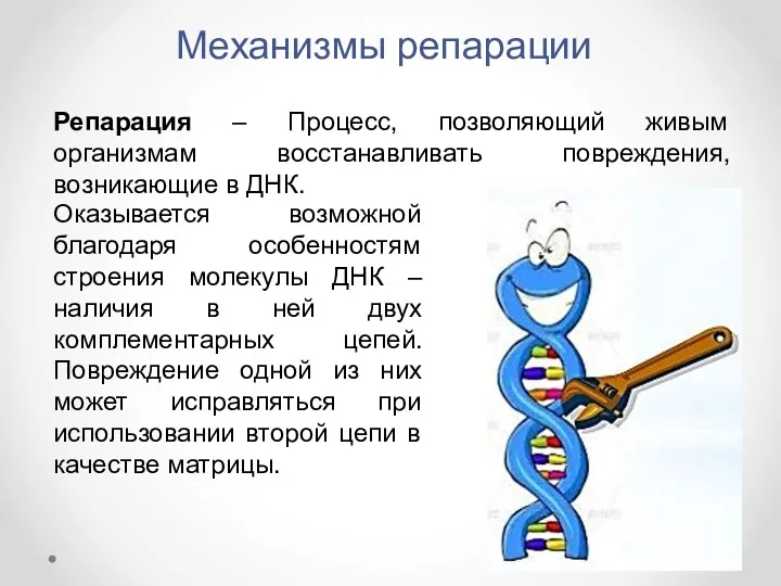 Механизмы репарации Репарация – Процесс, позволяющий живым организмам восстанавливать повреждения, возникающие в ДНК.