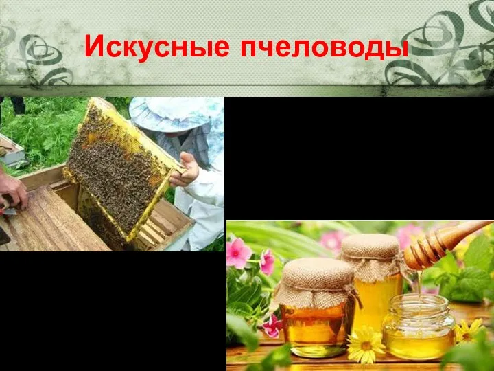 Искусные пчеловоды