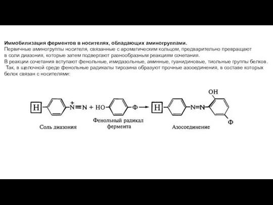 Иммобилизация ферментов в носителях, обладающих аминогруппами. Первичные аминогруппы носителя, связанные