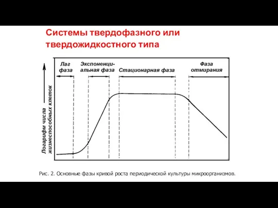 Системы твердофазного или твердожидкостного типа Рис. 2. Основные фазы кривой роста периодической культуры микроорганизмов.